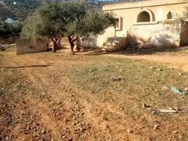 بيت دونم ارض في منطقه المنشيه من اراضي الكته