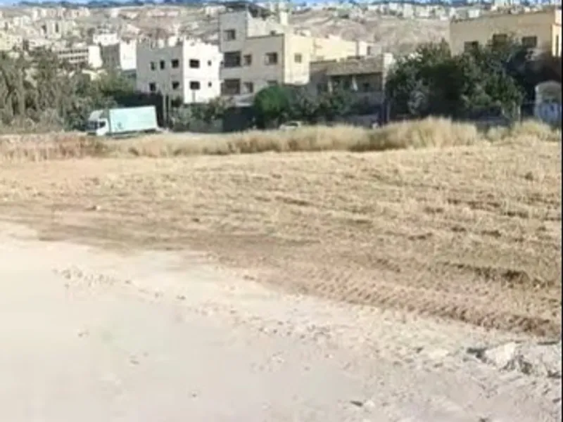 متوفر ارض ربع دنم 300م عين الباشا حوض الزاويه خلف
