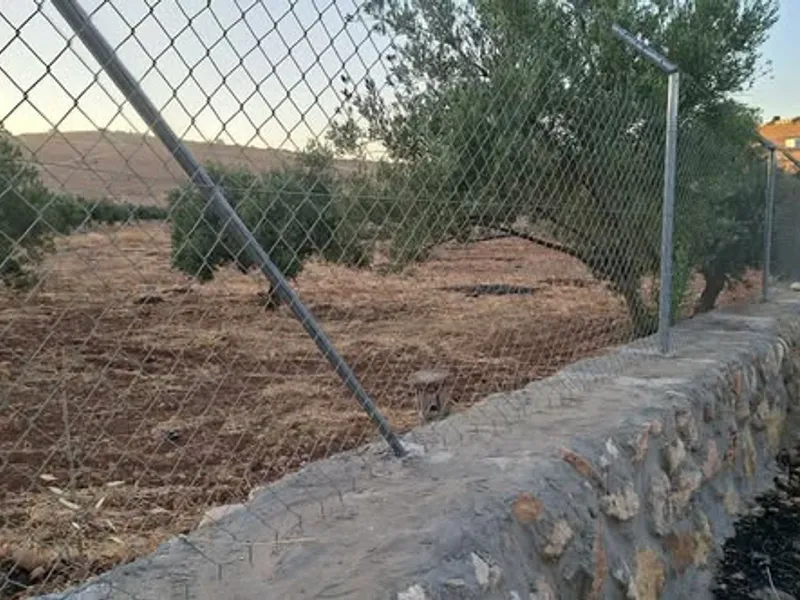مزرعه للبيع مميزه المشاهده زي الكف مسنسله مشجره