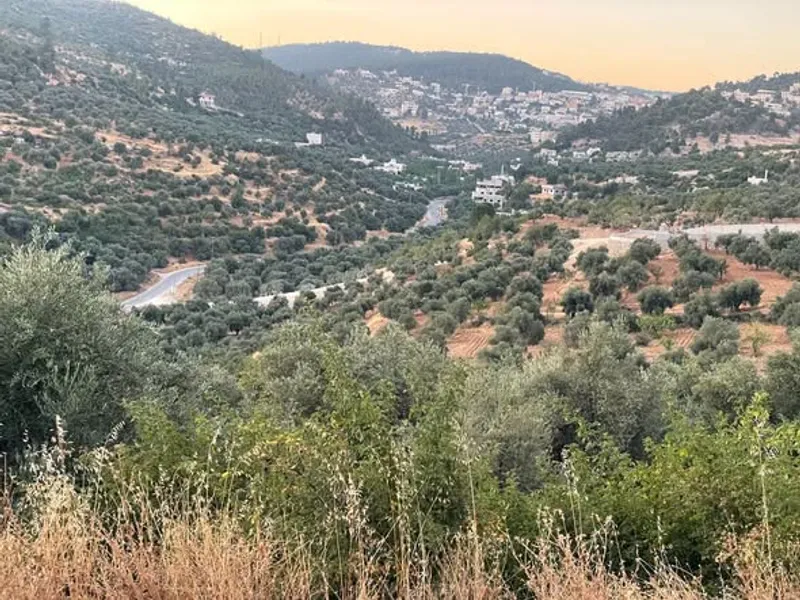 للبيع 4 دونمات - ساكب ام جوزه