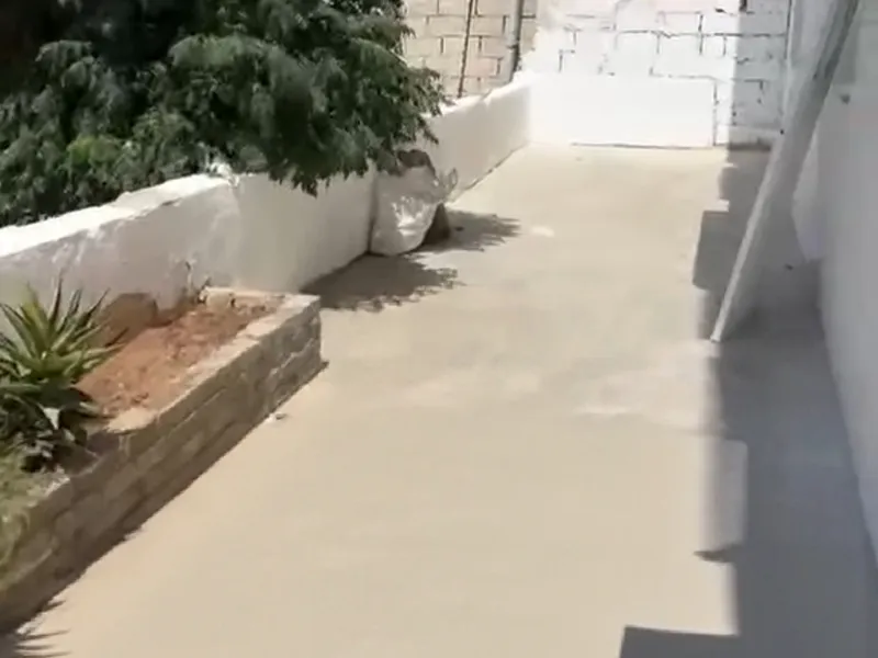 شقه ارضي للايجار جرش